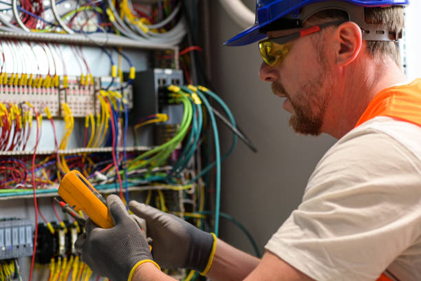 Best Electric Panel Repair  in Minden, NV